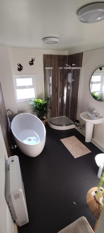 Adail Cottage آبيريستويث المظهر الخارجي الصورة