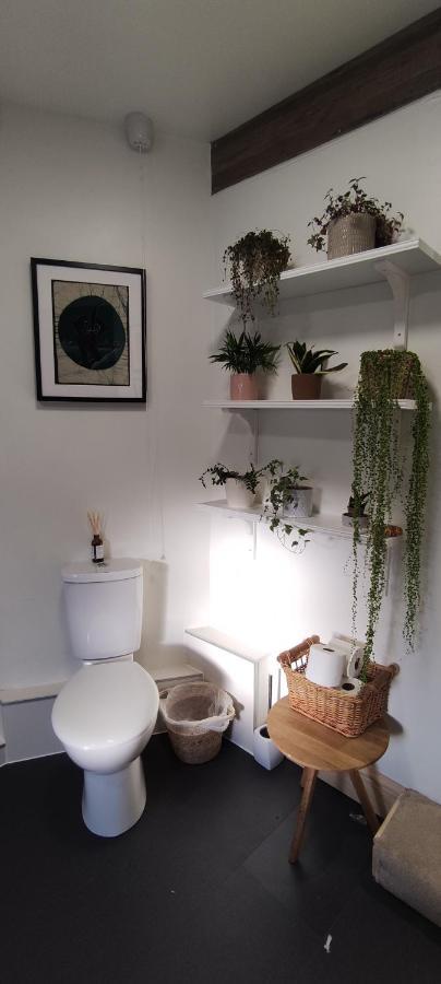 Adail Cottage آبيريستويث المظهر الخارجي الصورة