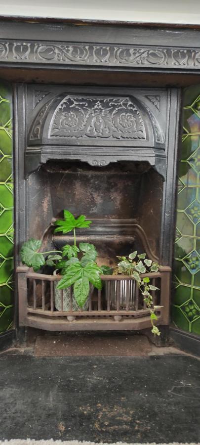 Adail Cottage آبيريستويث المظهر الخارجي الصورة